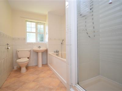Picture 17